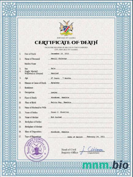 Namibia rekord życiowy śmierć certyfikat PSD szablon